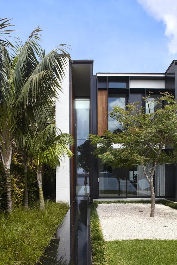 Popov Bass - Gallery 2