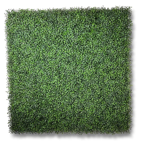 Artificial Plant Walls, Vertical Gardens & Hedges  -  Forever Green Walls - Gallery 3