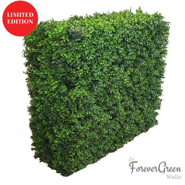 Artificial Plant Walls, Vertical Gardens & Hedges  -  Forever Green Walls - Gallery 5