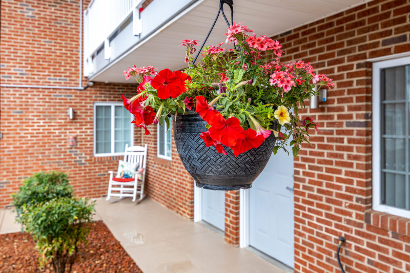 Affordable Corporate Suites - Gallery 10