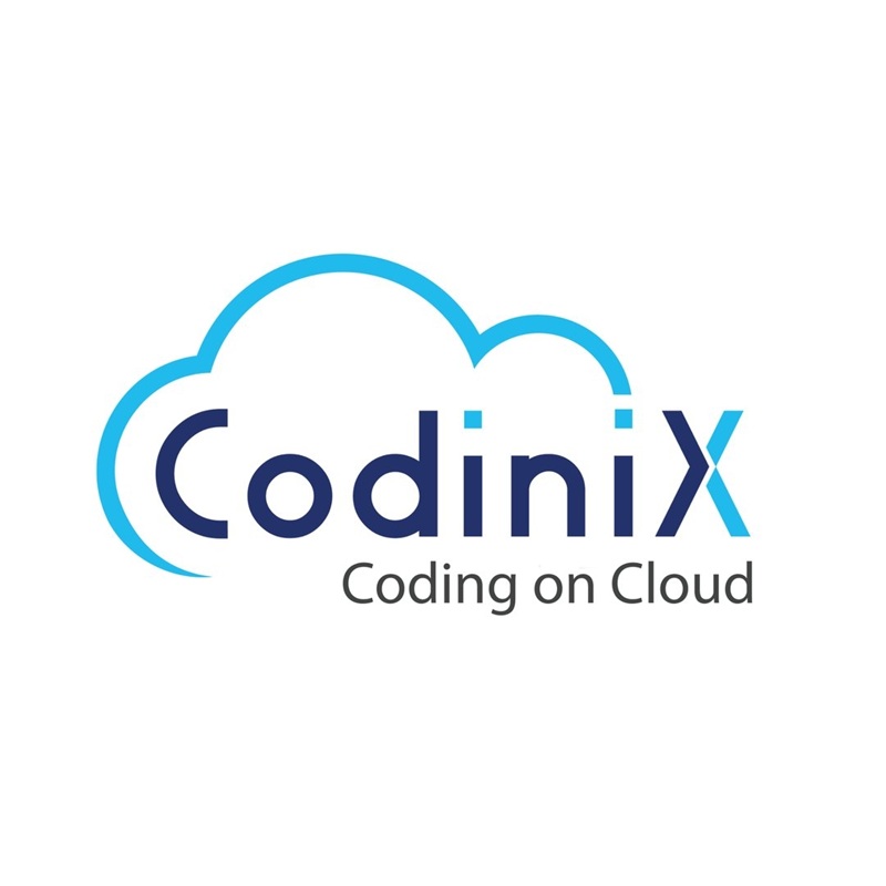 Codinix Technologies Inc. - Gallery 1