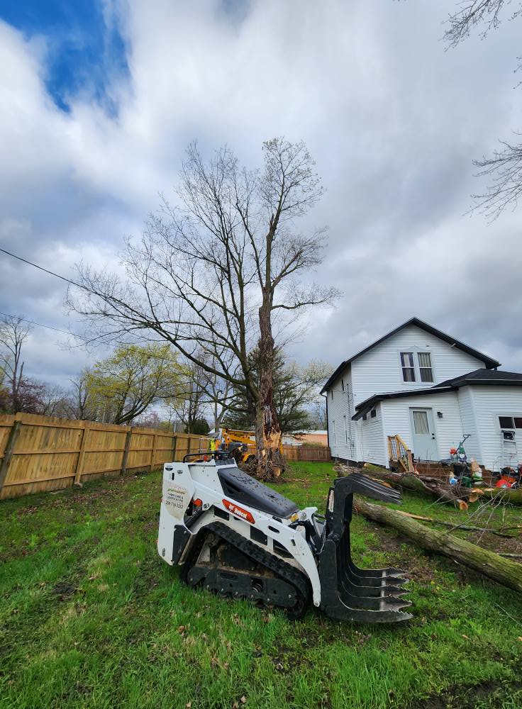 Perkins Lawn Care - Gallery 7