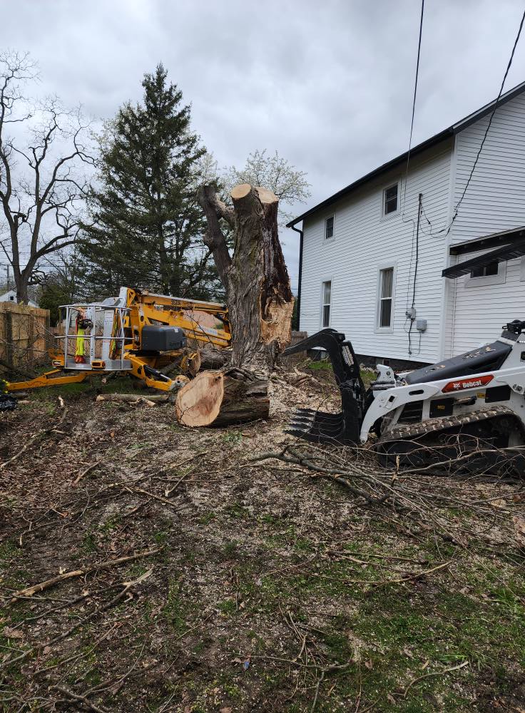 Perkins Lawn Care - Gallery 10