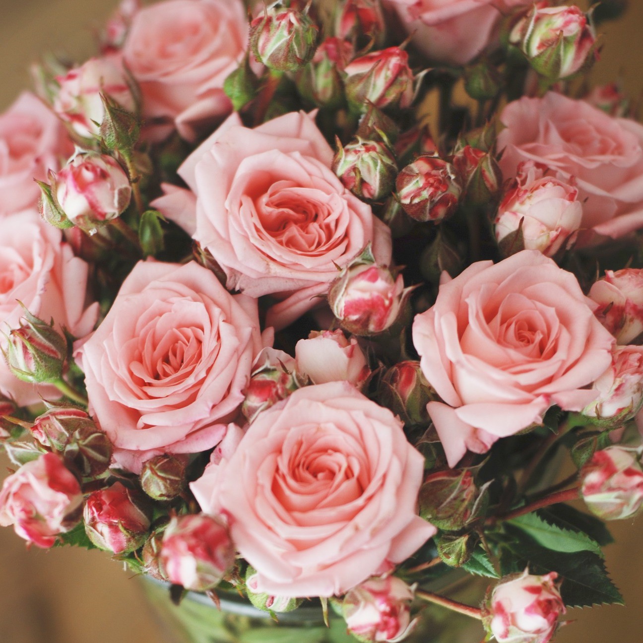 Floral Concepts - Houston - Gallery 6
