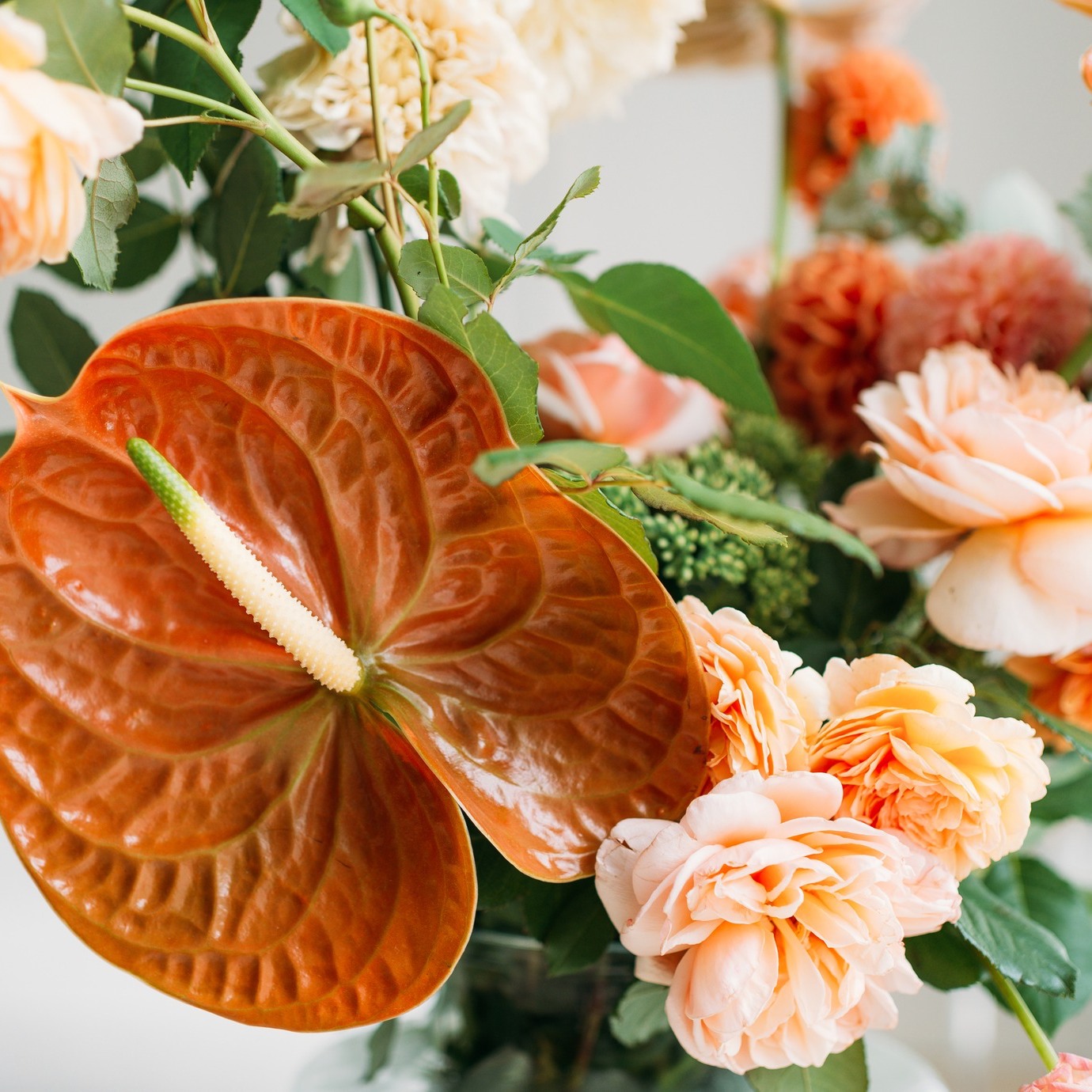 Floral Concepts - Houston - Gallery 7