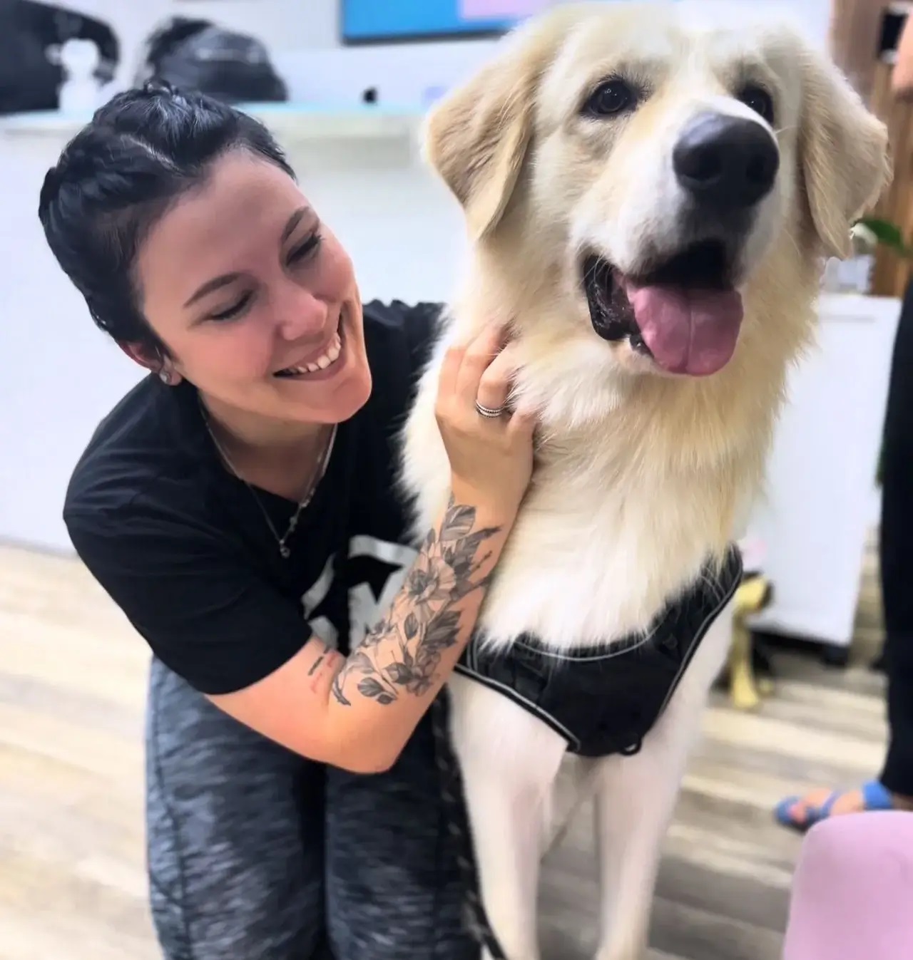 Boujee Mobile Pet Grooming - Gallery 4
