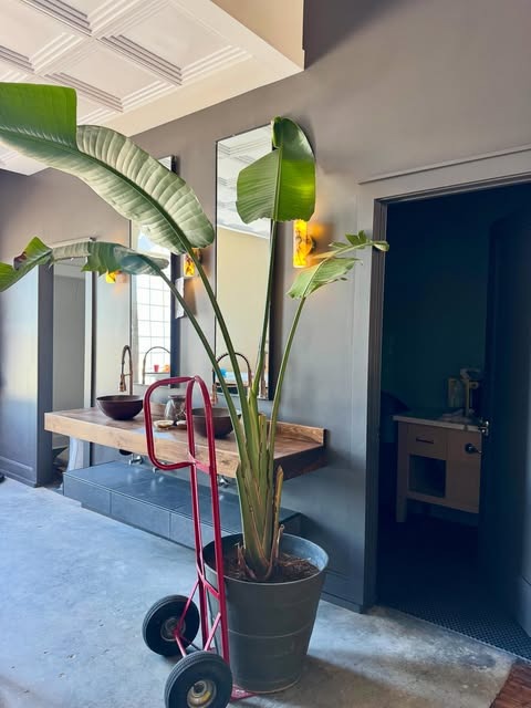 Mae Style House - Gallery 4
