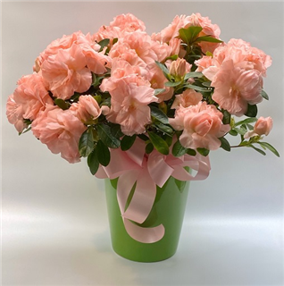 Mrs. DeHaven's Flower Shop - Gallery 1