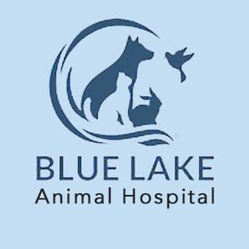 Blue Lake Animal Hospital - Gallery 1