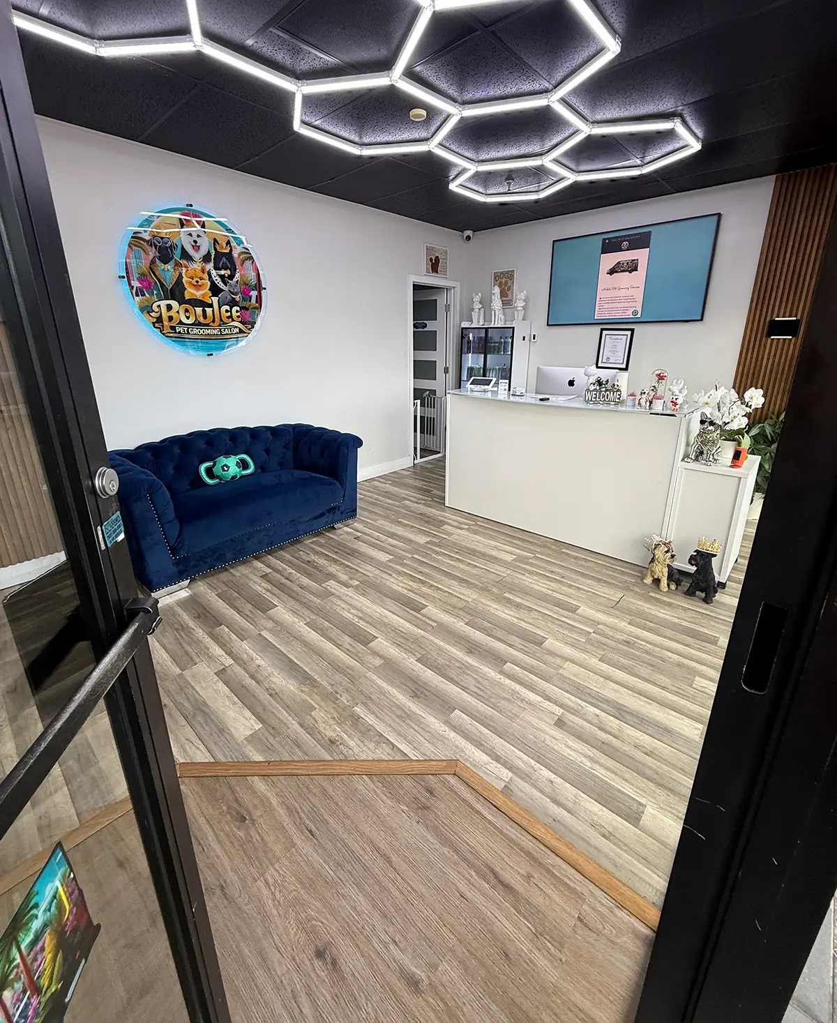 Boujee Mobile Pet Grooming - Gallery 8