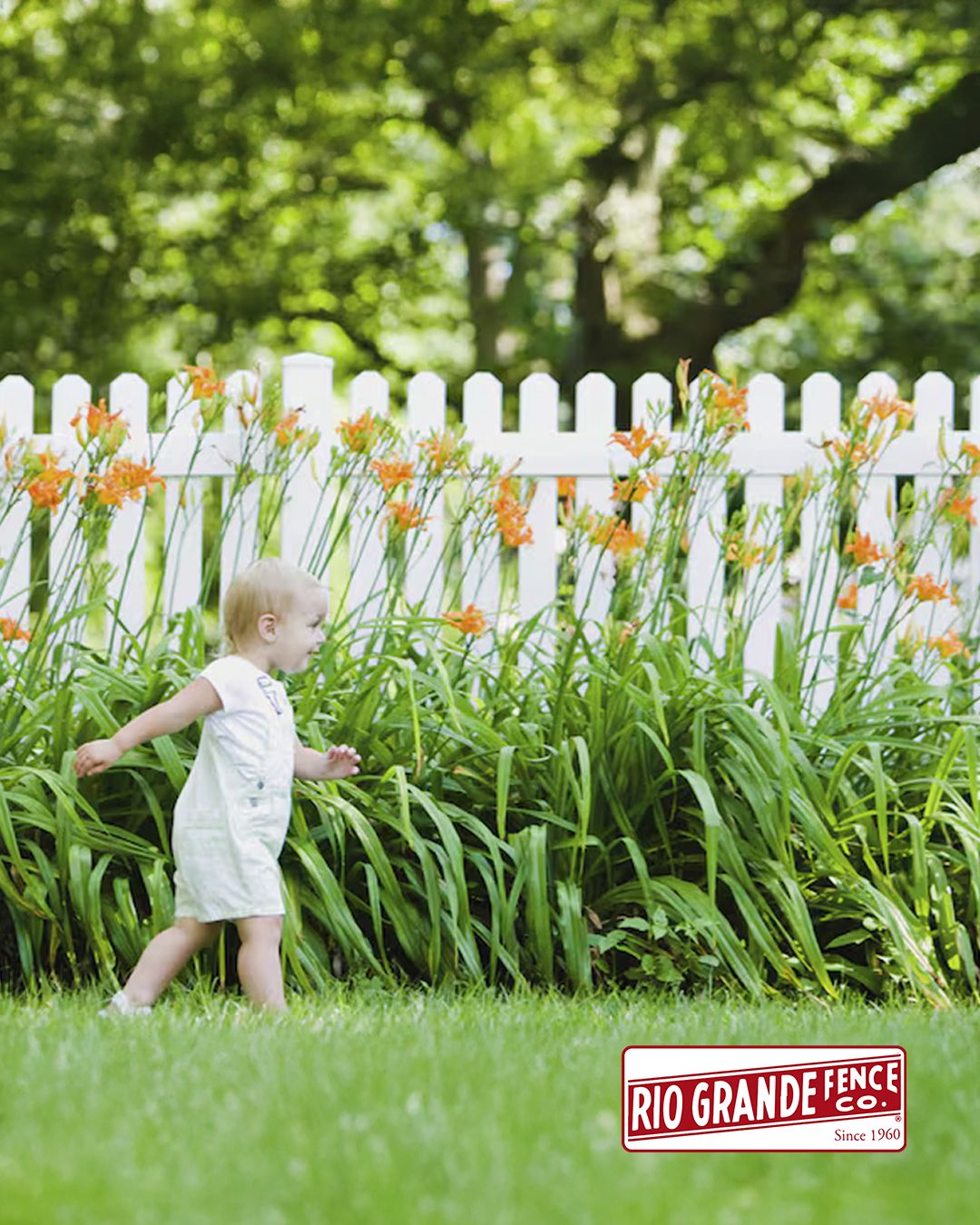 Rio Grande Fence Co - Gallery 2
