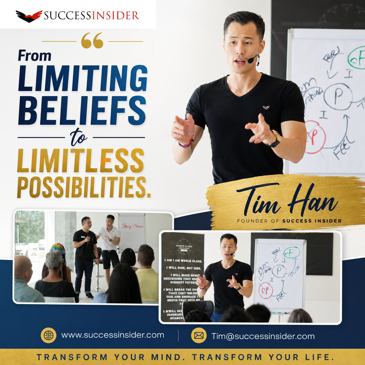 Tim Han - Gallery 1