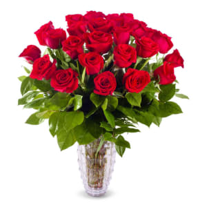 Alta Vista Flowers - Gallery 2