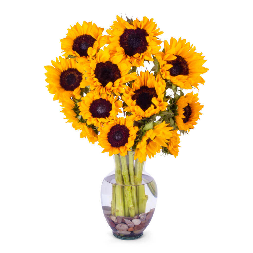 Fairview Flower Shop - Gallery 3