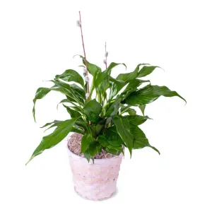 Fairview Flower Shop - Gallery 14