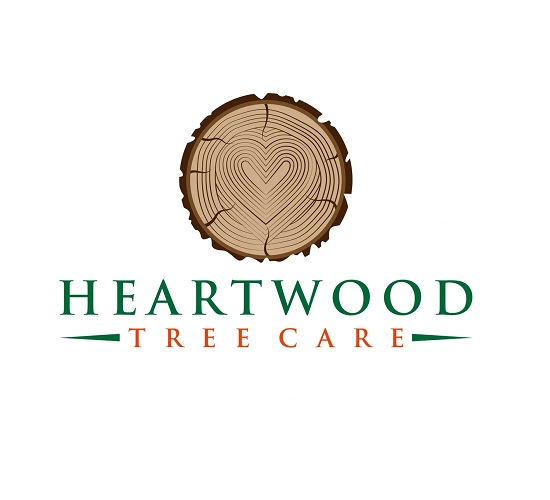 Heartwood Tree Care - Gallery 1