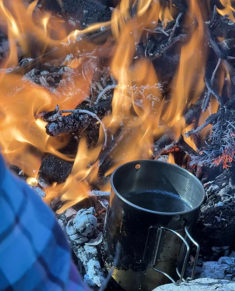 The Wildland Experience - Gallery 3