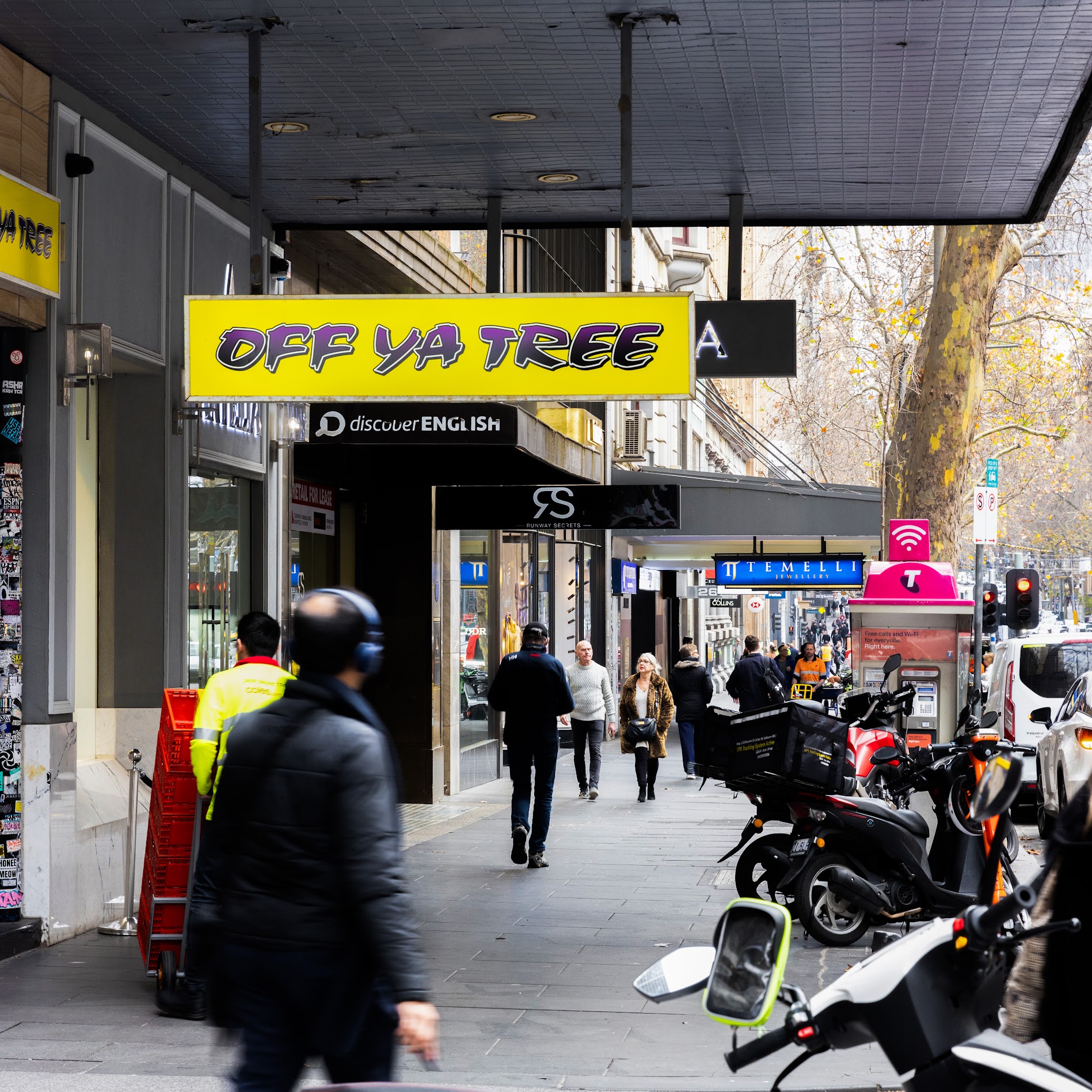 OFF YA TREE - Gallery 1
