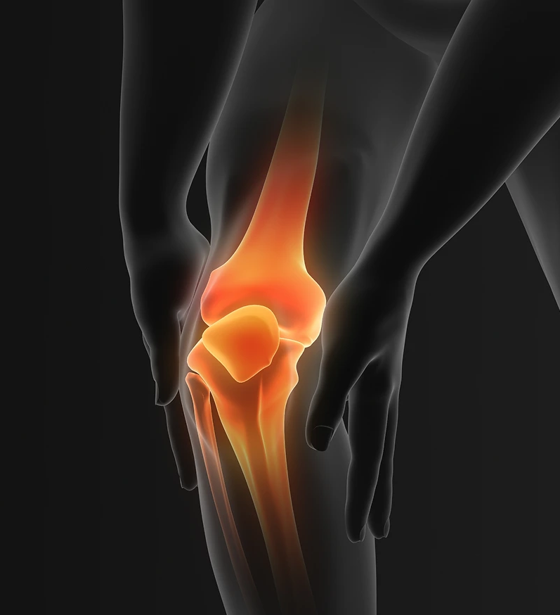 Nervexa™ - Gallery 3