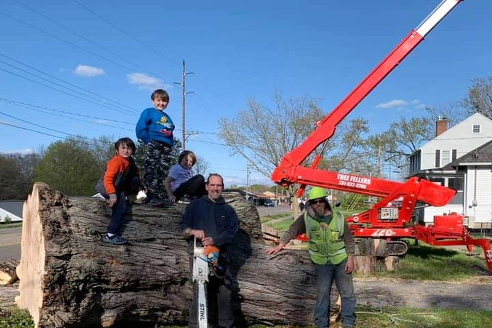 Tree Fellers - Gallery 1