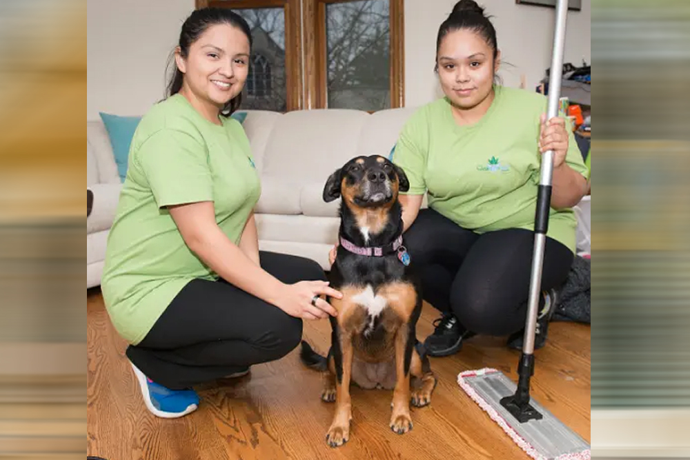 Fresh Tech Maid Chicago - Gallery 4