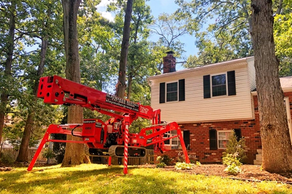 Watts Tree Experts - Gallery 4