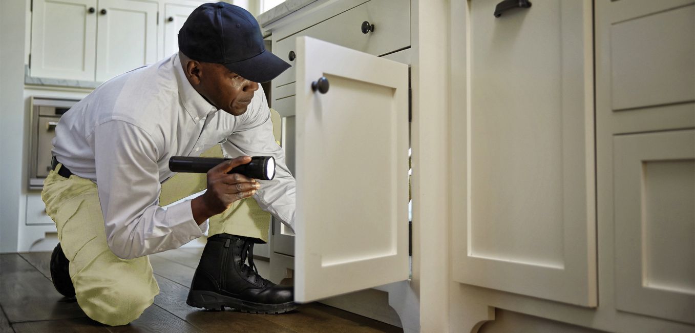 Alexandria Pest Services - Gallery 2