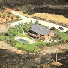 Down to Earth Land Clearing Solutions, Inc - Gallery 2