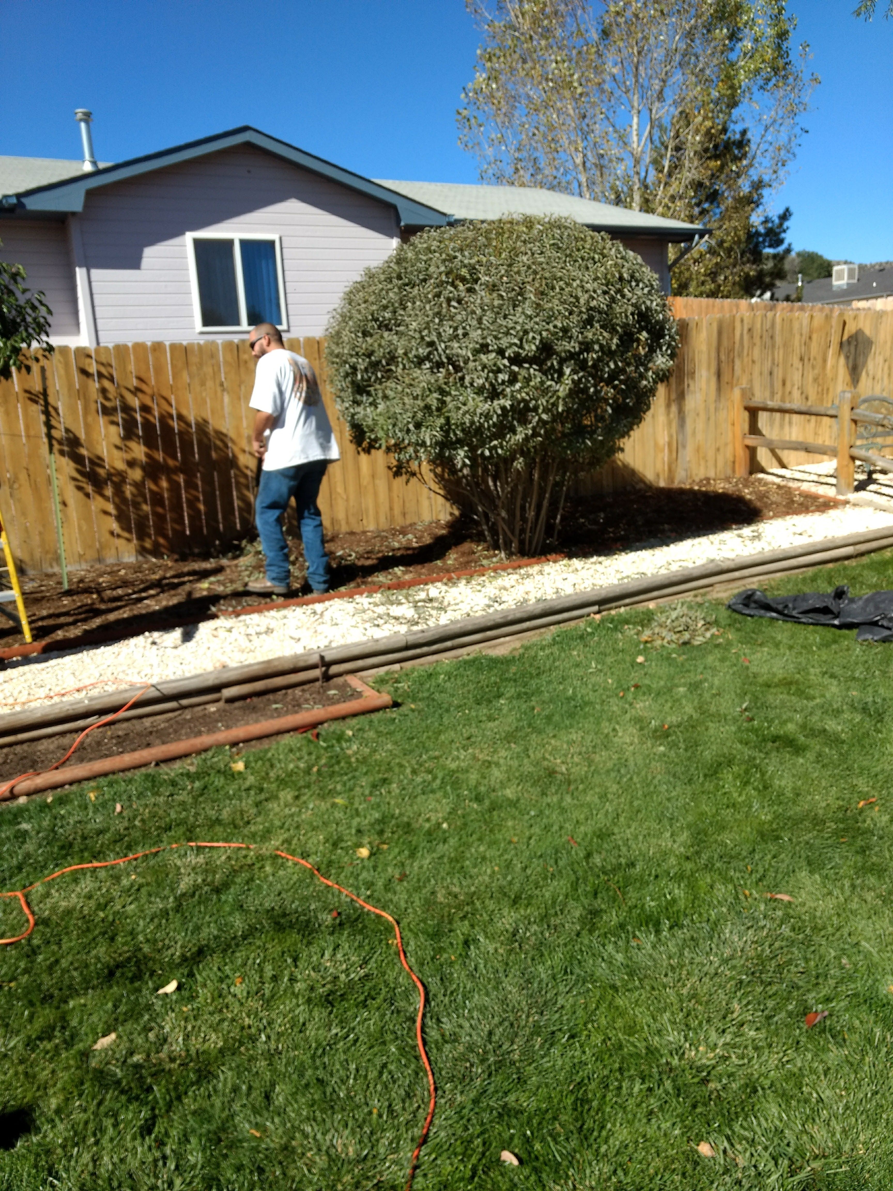 Complete Yard Service - Gallery 2