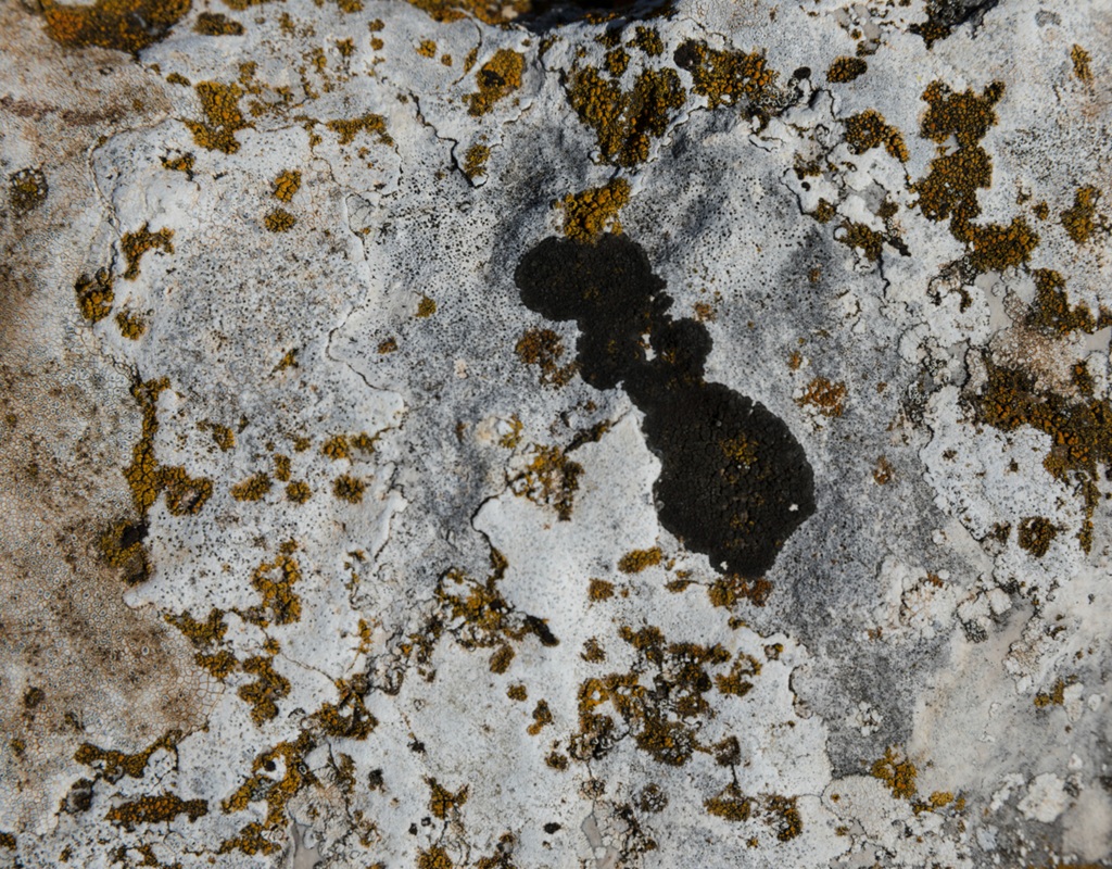 The MouldMen - Gallery 2