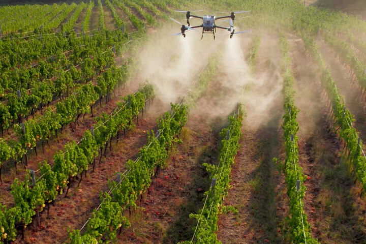 Service Drones - Gallery 2