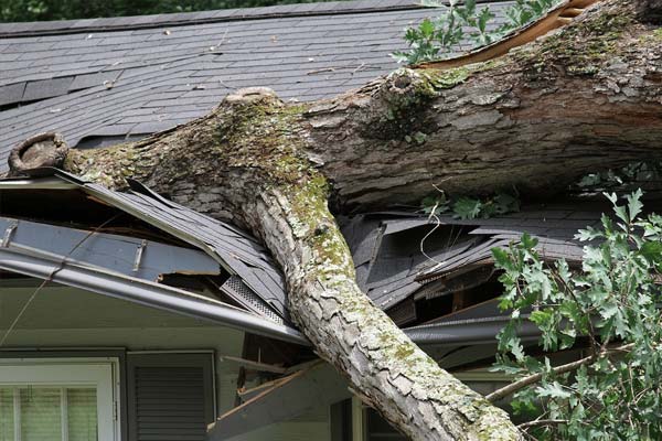 Stay Dry Roofing - Gallery 4