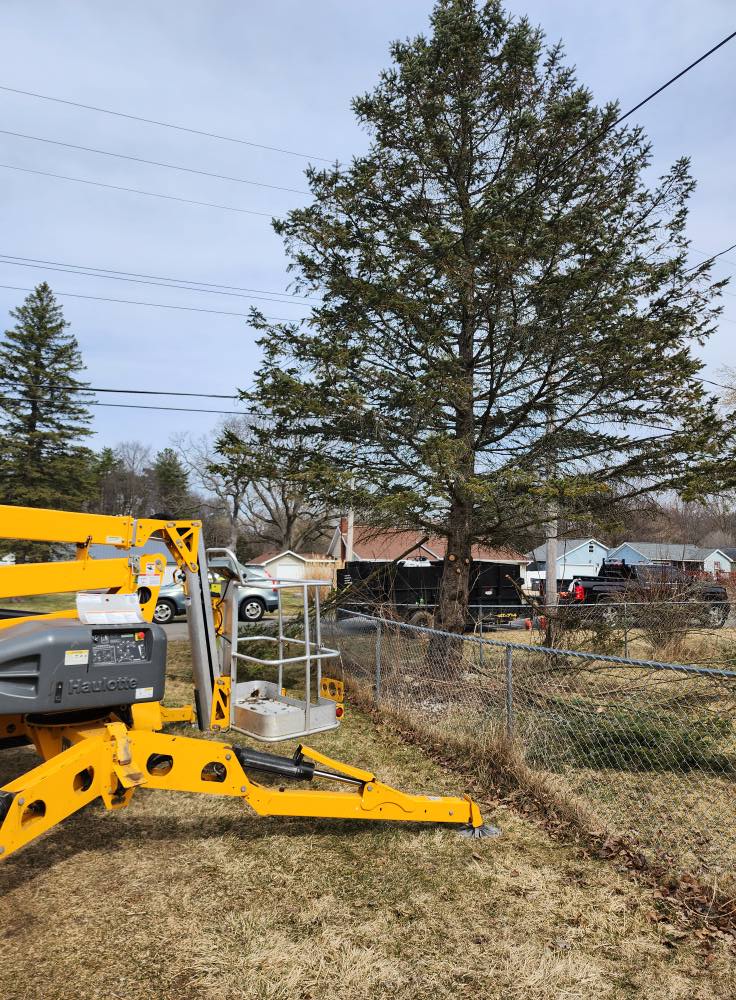 Perkins Lawn Care - Gallery 12