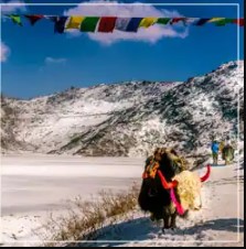 Naturewings Holidays Limited - Gallery 2