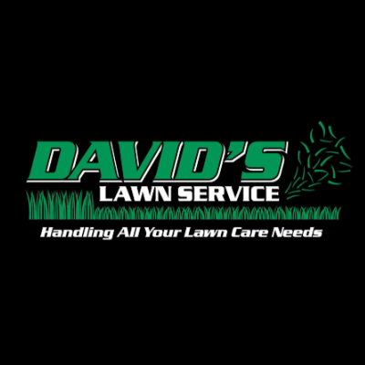 David's Lawn Service - Gallery 1
