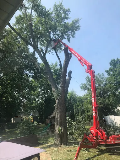Perkins Lawn Care - Gallery 13