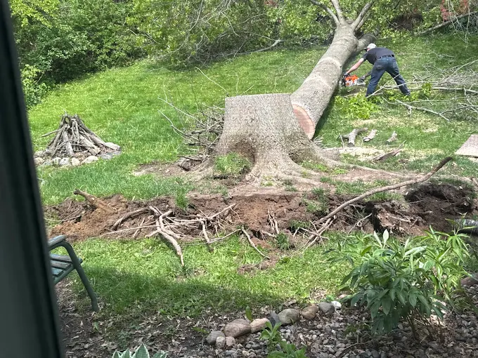 Perkins Lawn Care - Gallery 14