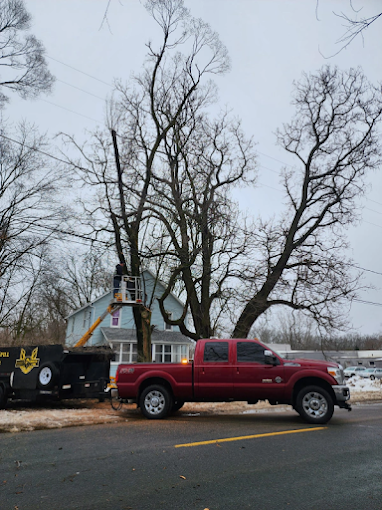 Perkins Lawn Care - Gallery 15