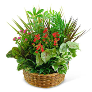 Irene's Floral Design - Gallery 3