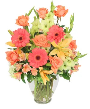 The Sweetest Bloom - Gallery 4