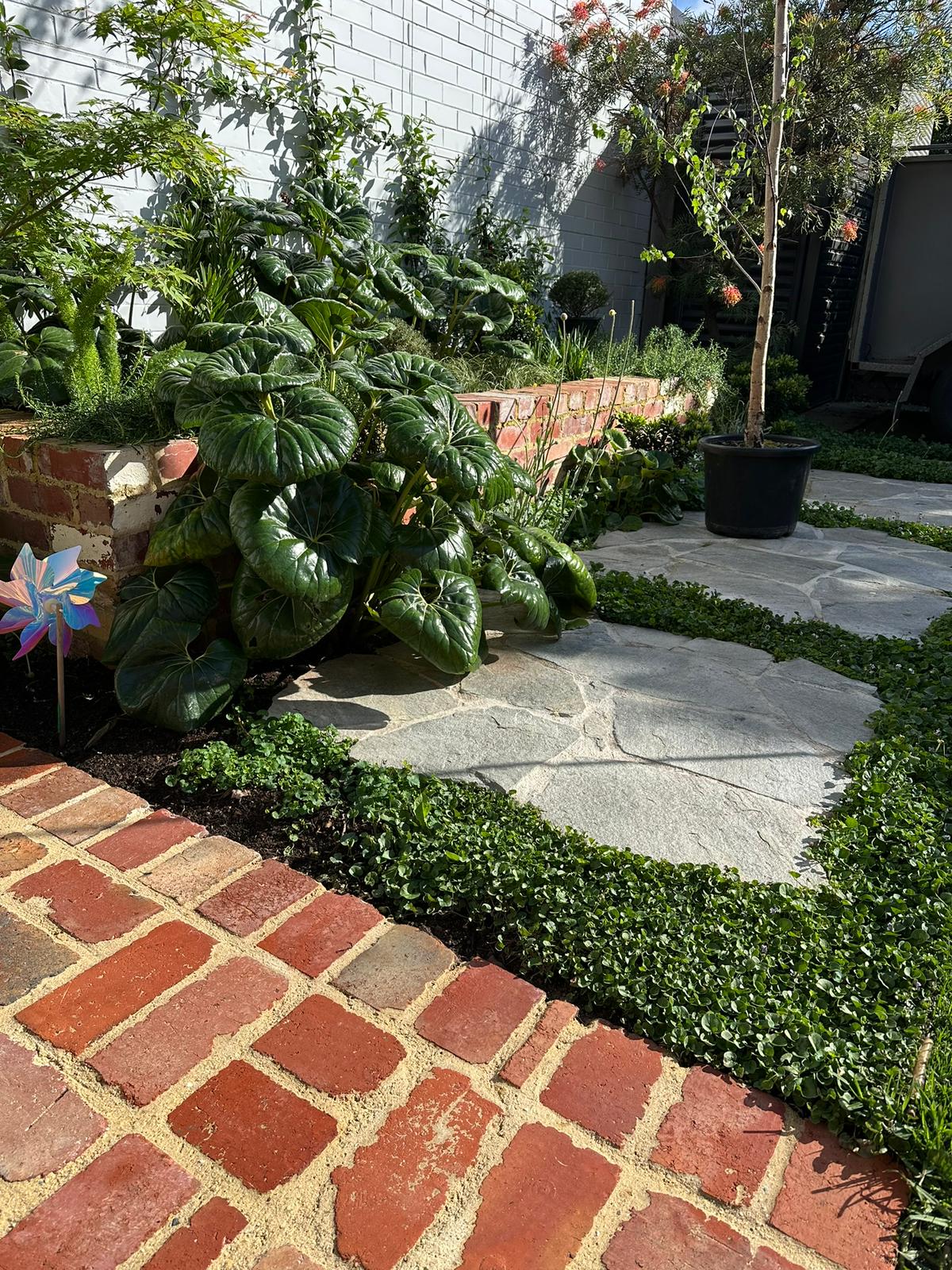 Tuscany Gardens - Gallery 2