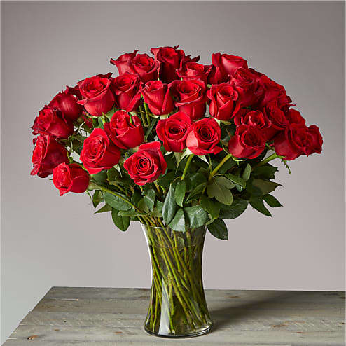 Spencer's Designer Florist, Gifts & Arrangements - Gallery 9