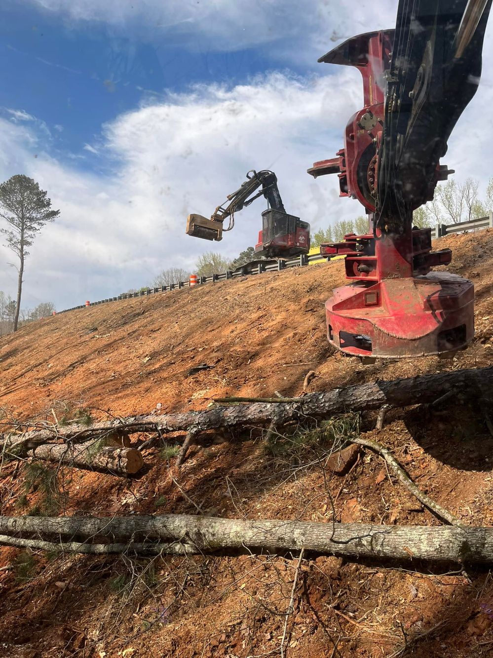 Harper's Tree and Stump Removal - Gallery 2