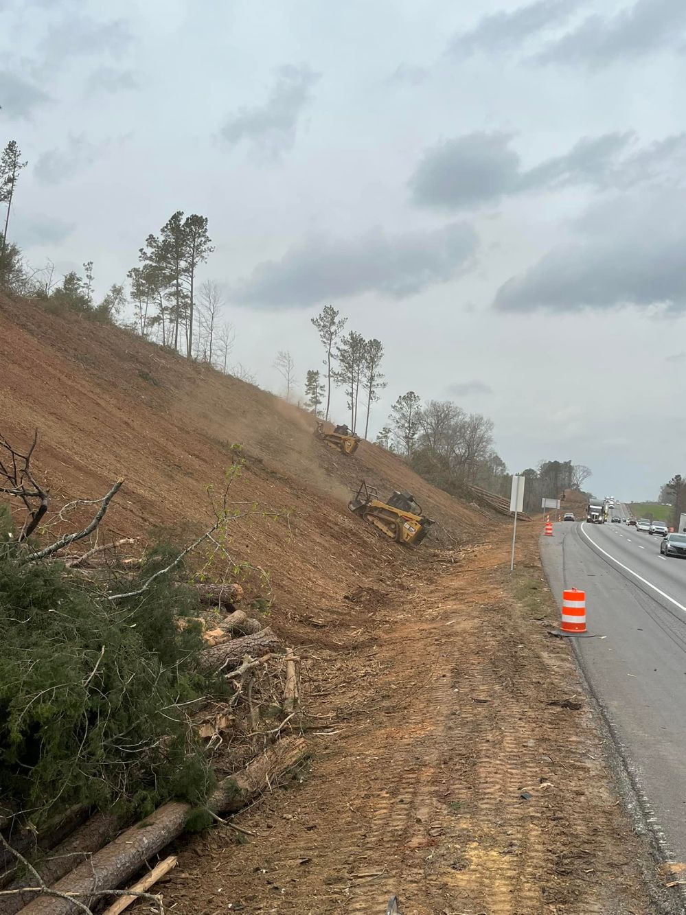 Harper's Tree and Stump Removal - Gallery 4