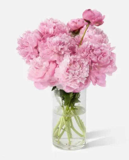 Ziegfield Florist, Gifts & Flower Delivery - Gallery 3