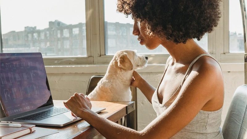 MarketTram - Gallery 2