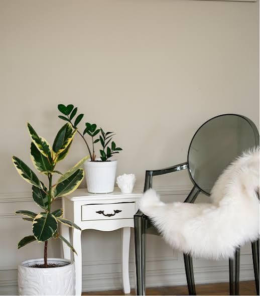 Staging WA - Gallery 4