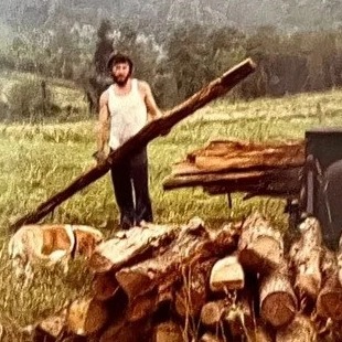 Integrity Tree Service - Gallery 2