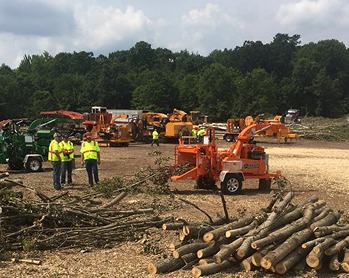 Porterfield Stump and Tree - Gallery 3