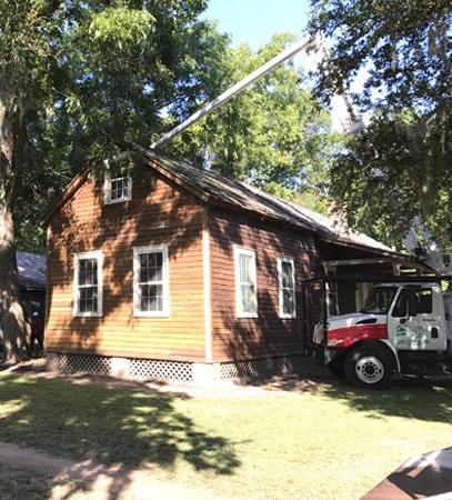 Champions Tree Preservation - Gallery 4